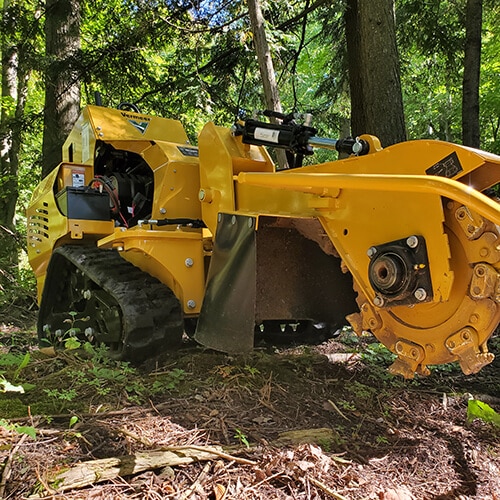 Best Brush Chipping & Stump Grinding Services in Acton