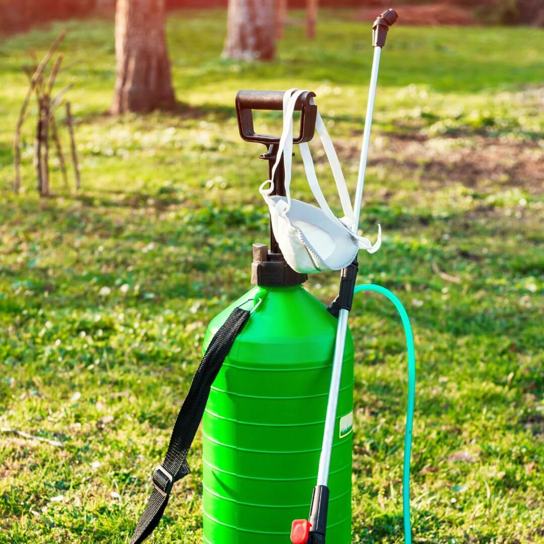 How To Remove a Tree Stump 5 Methods Chip It Guy