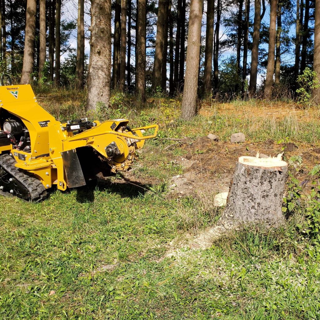 How To Remove a Tree Stump | 5 Methods | Chip It Guy