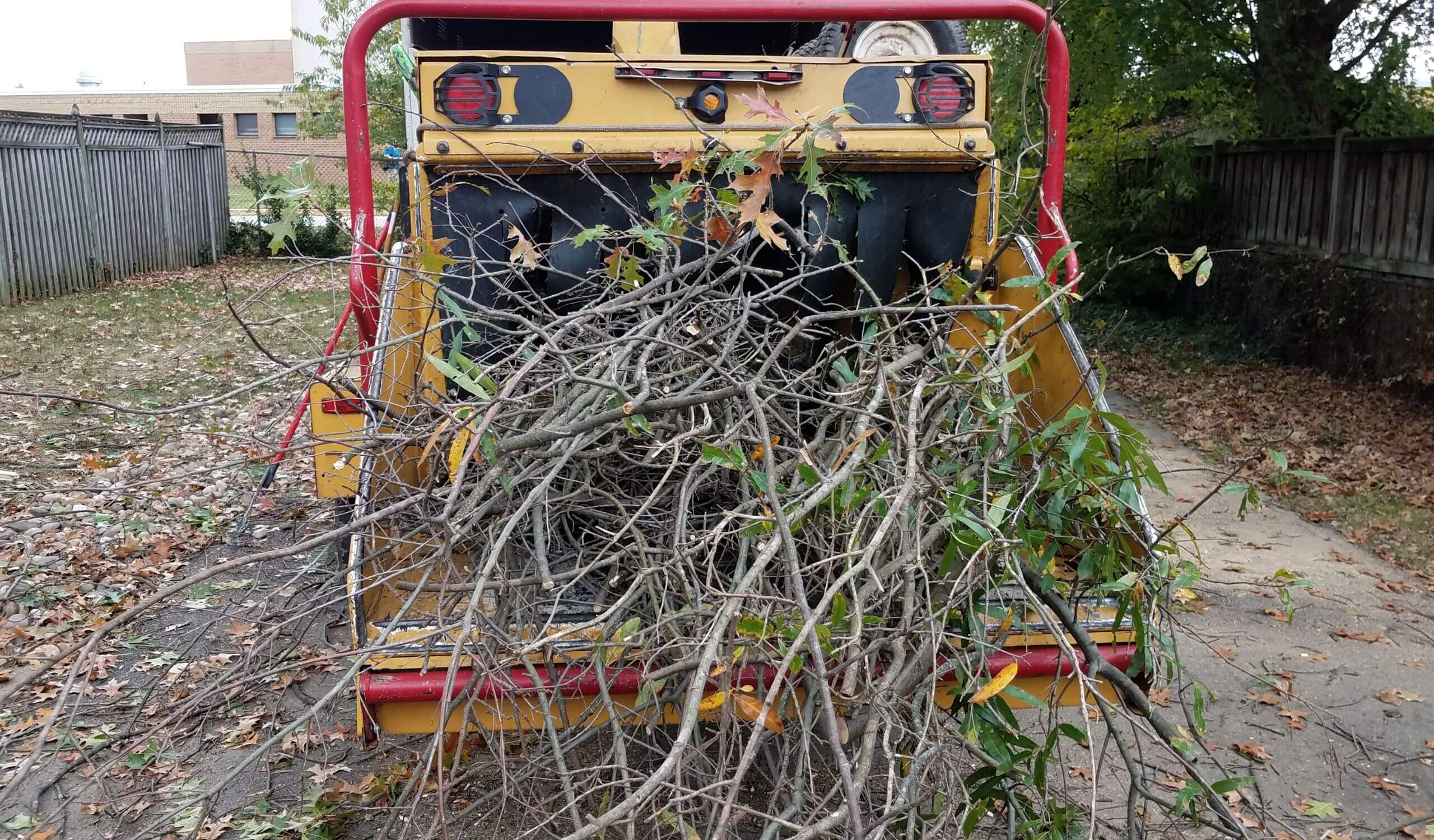 EcoFriendly Brush Chipping Services for a Cleaner Yard