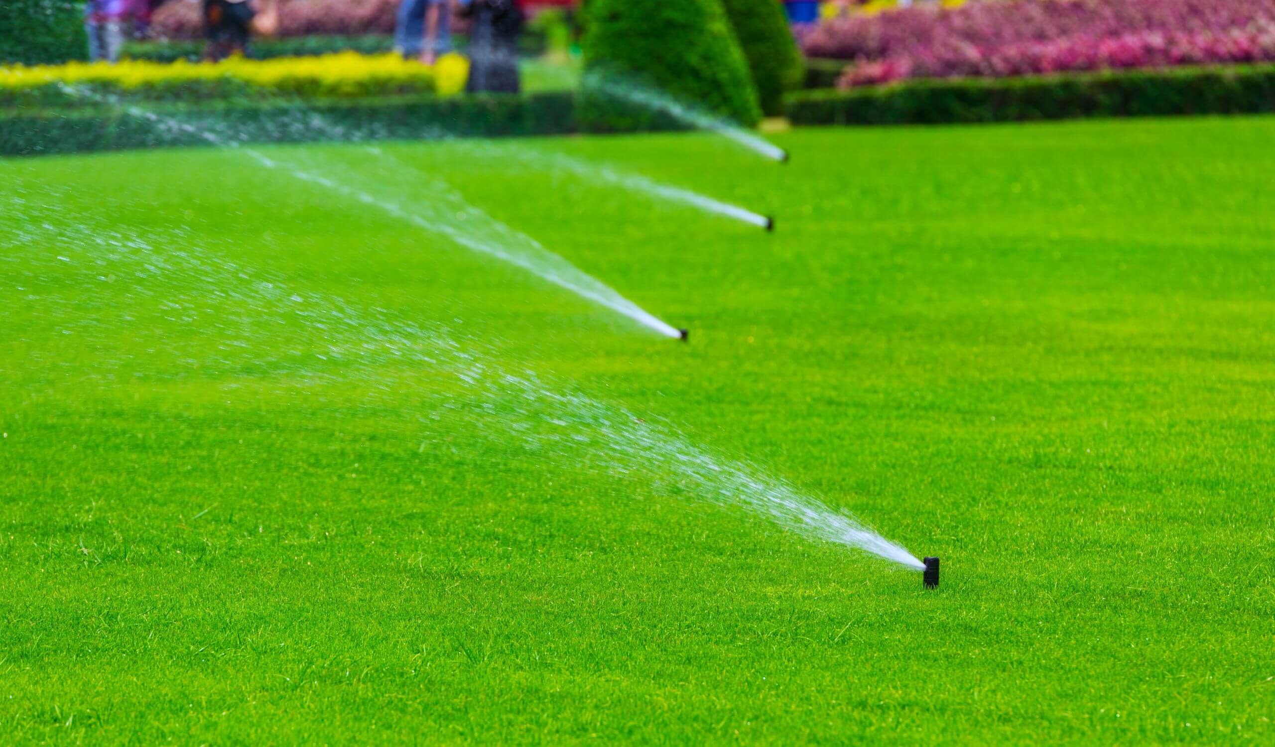 Planting Grass Over a Ground Stump in Oakville & Burlington