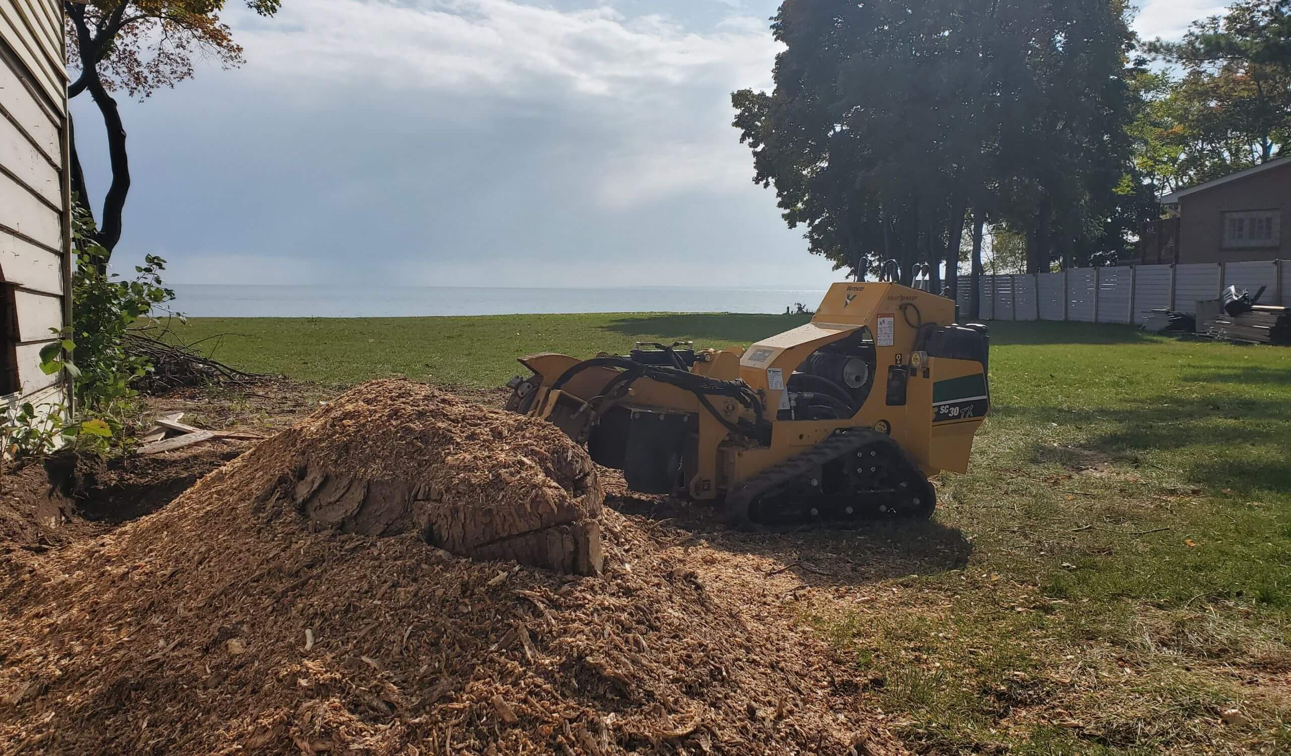 Stump grinder removing tree stump near lakeside
